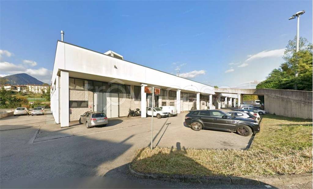 immagine annuncio 1 di 12