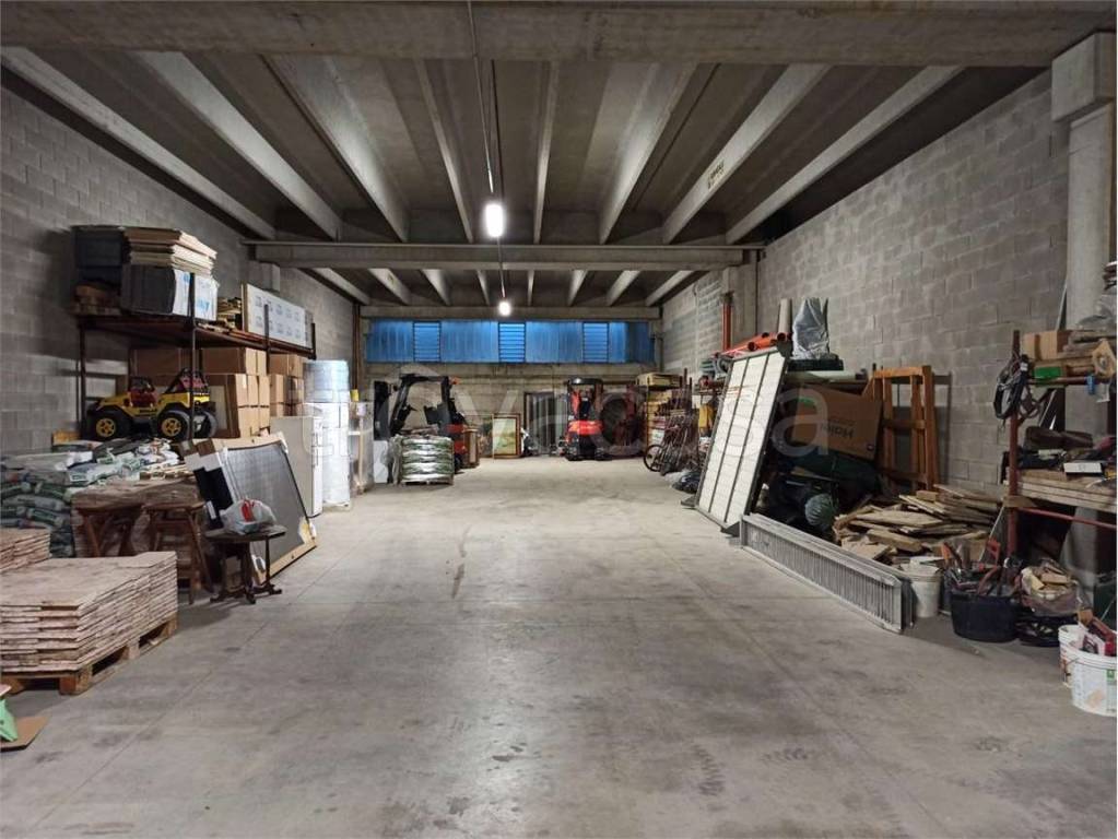 immagine annuncio 2 di 12