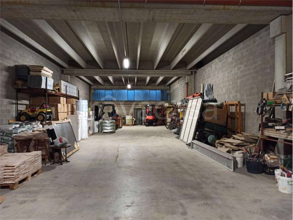 immagine annuncio 3 di 12