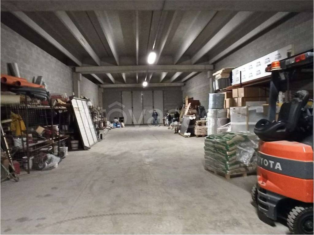 immagine annuncio 7 di 12