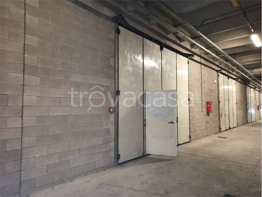 immagine annuncio 9 di 12