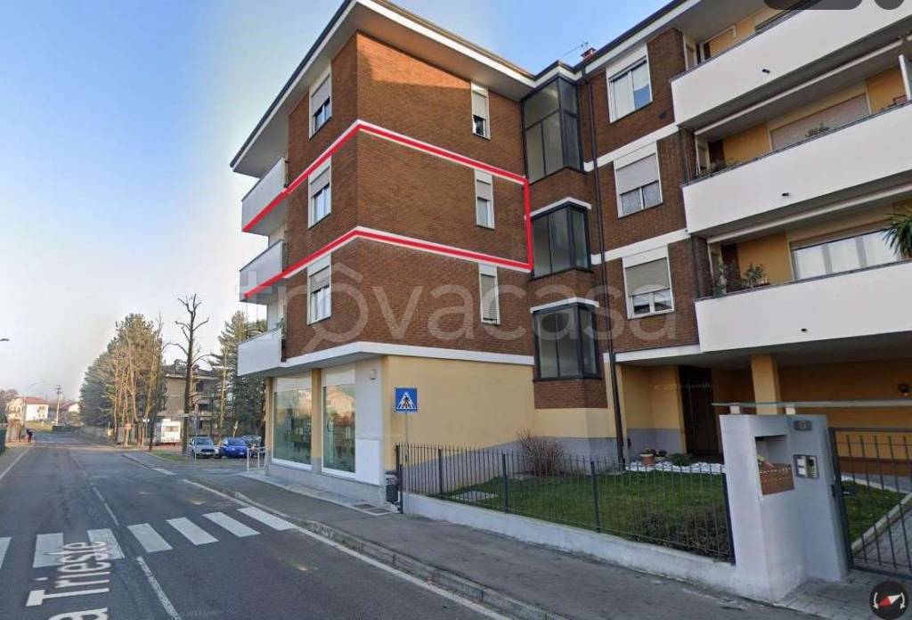 immagine annuncio 3 di 15