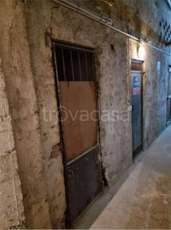 immagine annuncio 9 di 12