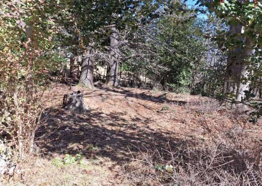 immagine annuncio 4 di 8