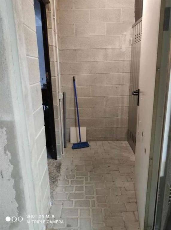 immagine annuncio 11 di 14