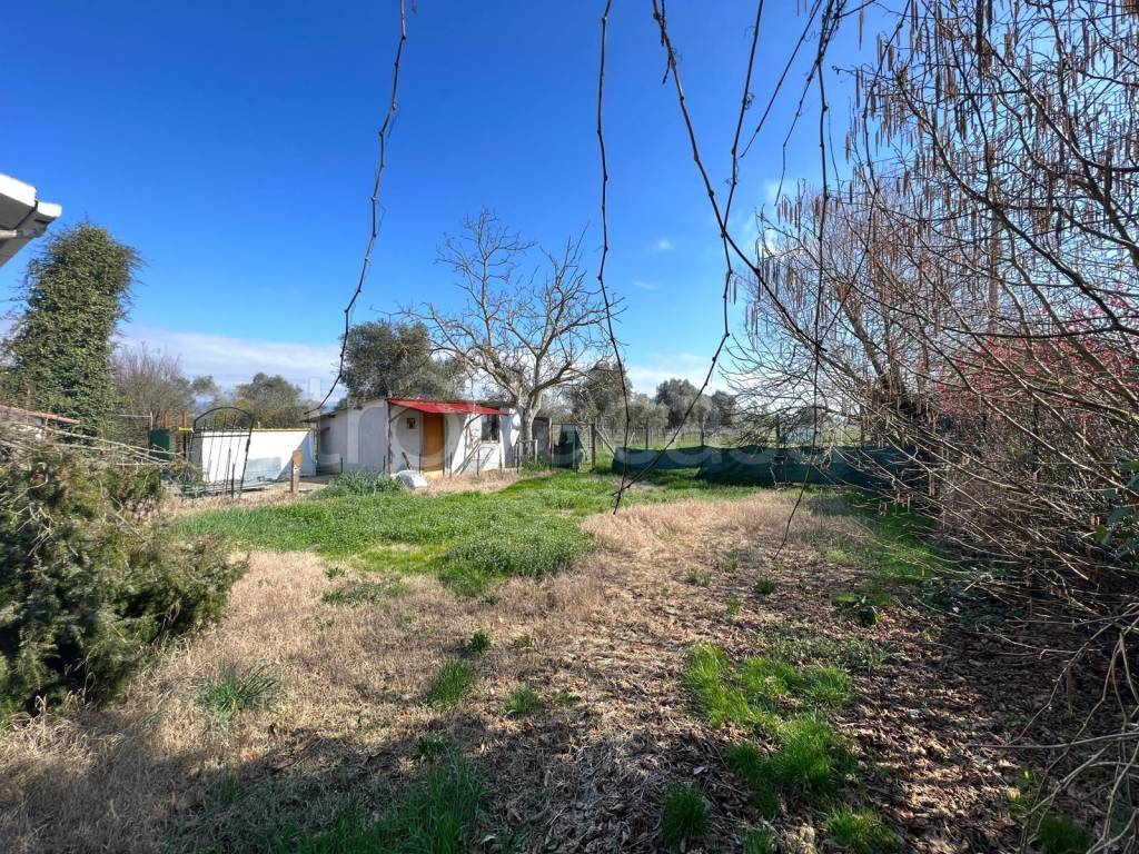 immagine annuncio 13 di 15