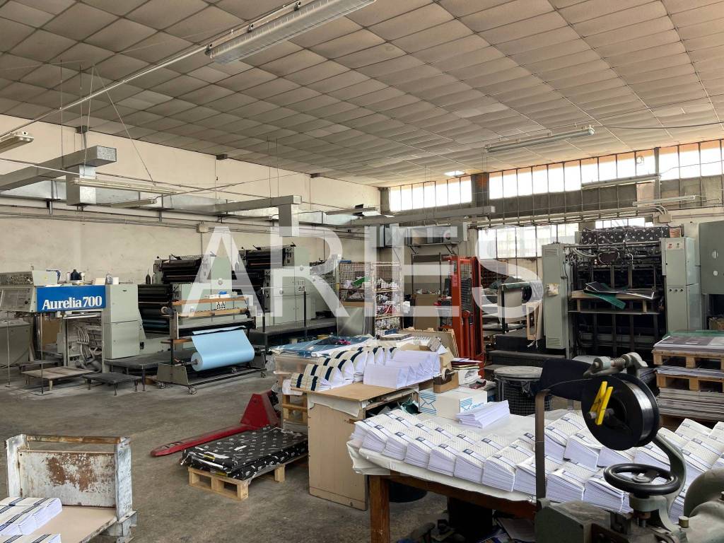 immagine annuncio 6 di 15