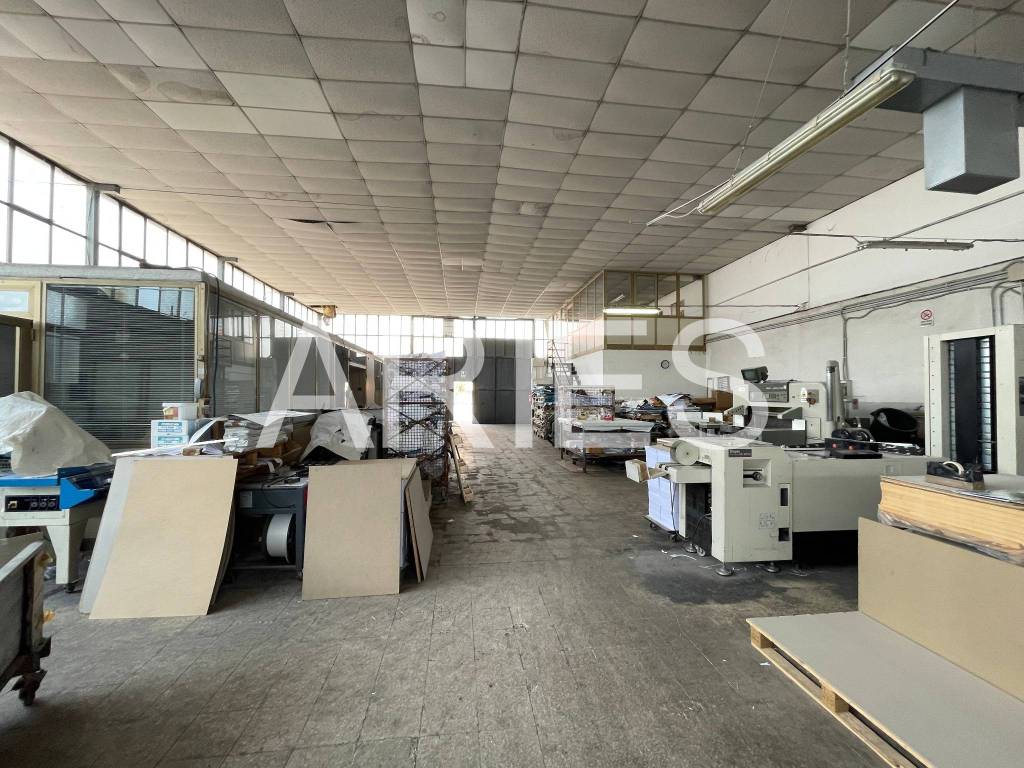 immagine annuncio 9 di 15