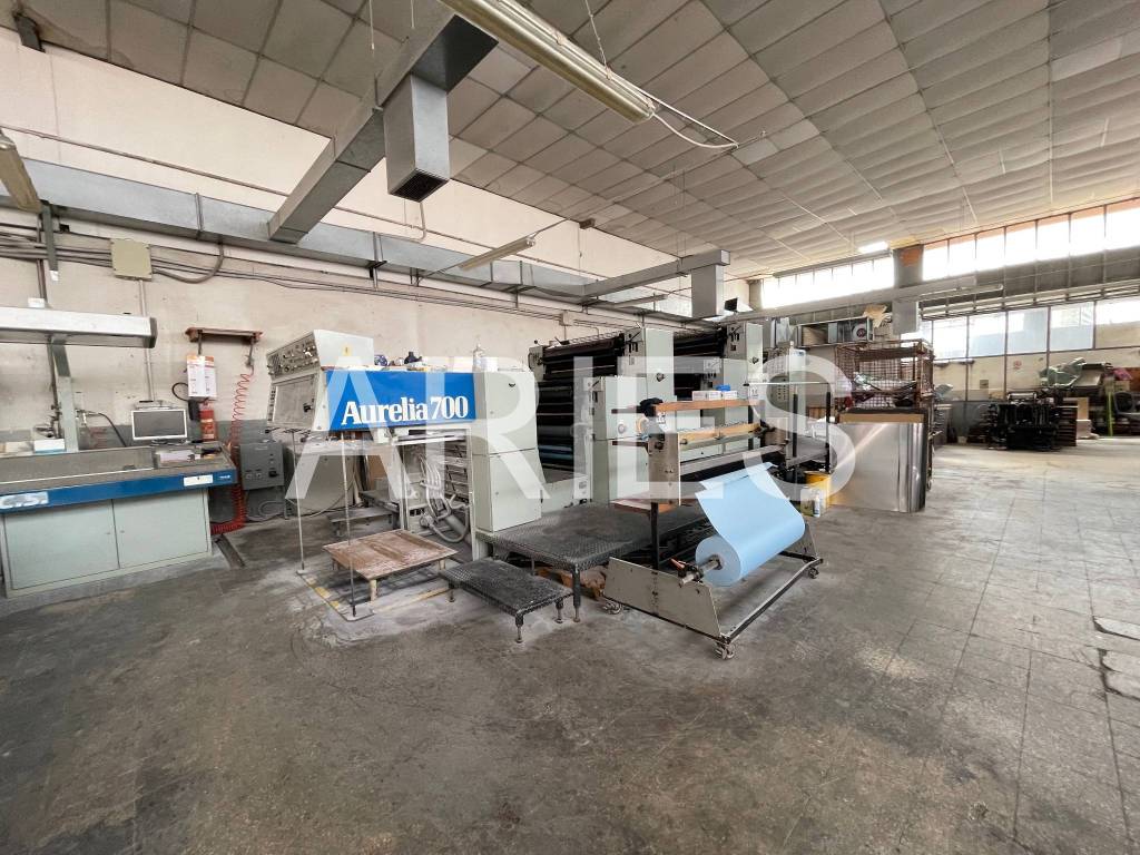 immagine annuncio 10 di 15