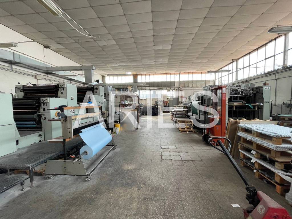 immagine annuncio 11 di 15