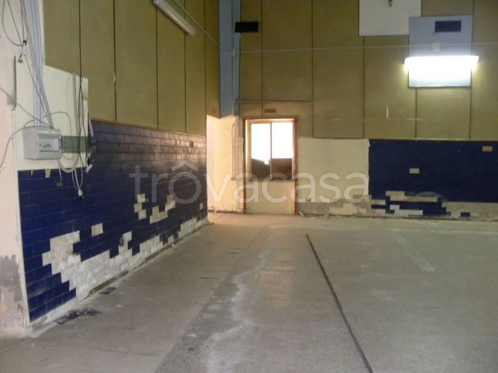 immagine annuncio 3 di 8