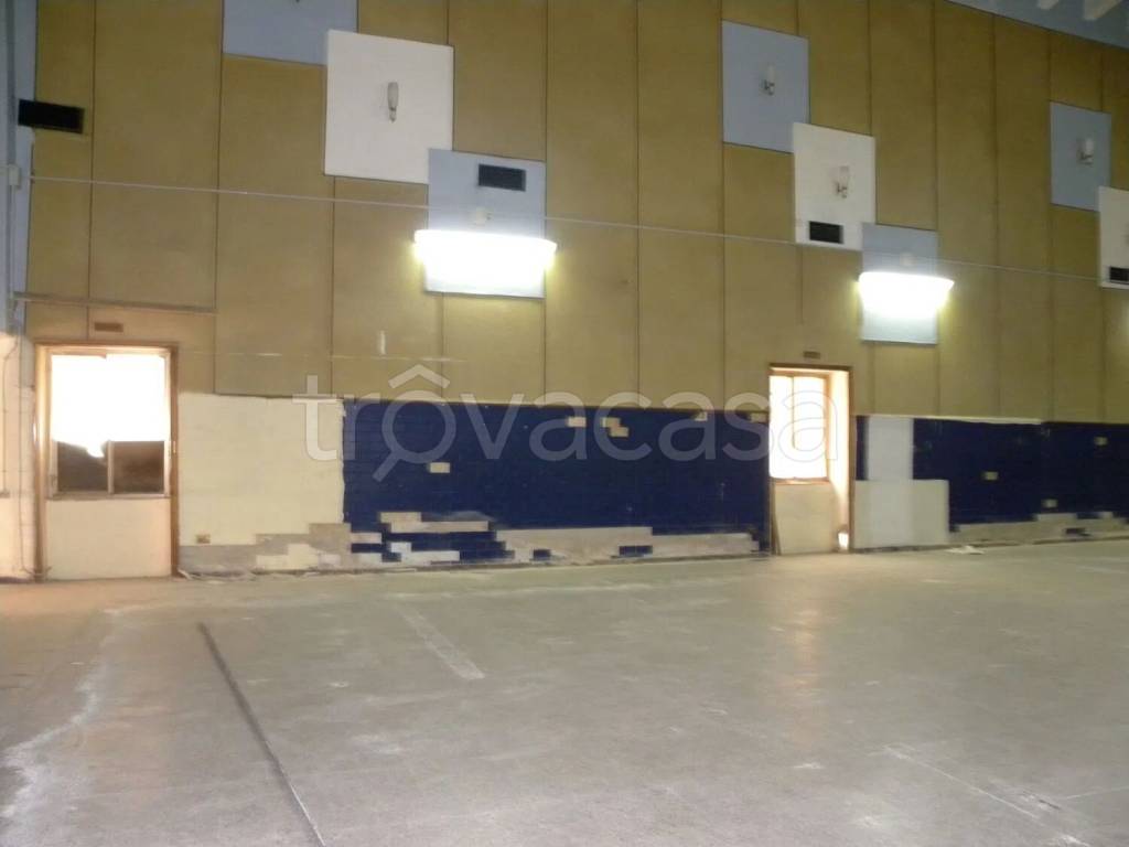 immagine annuncio 5 di 8