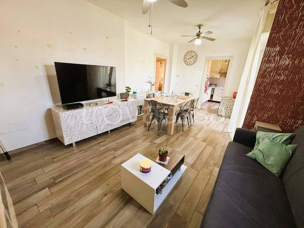 immagine annuncio 1 di 14