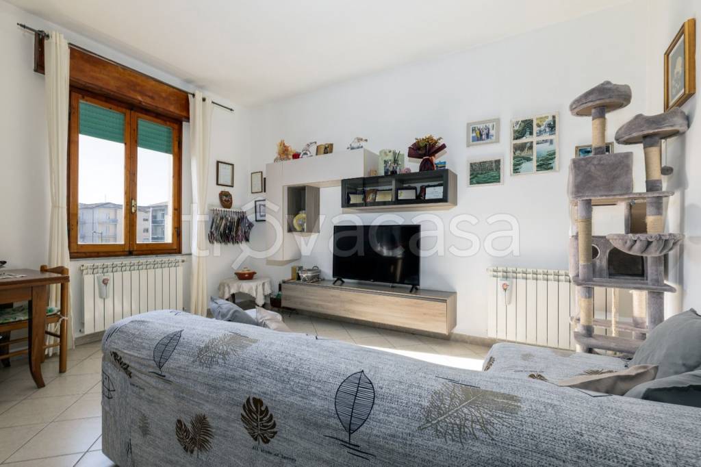 immagine annuncio 7 di 15