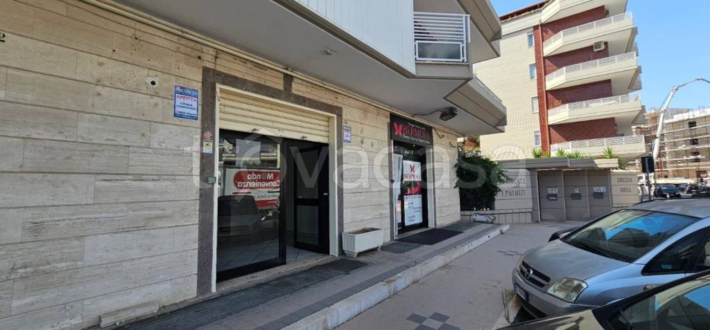 immagine annuncio 2 di 6