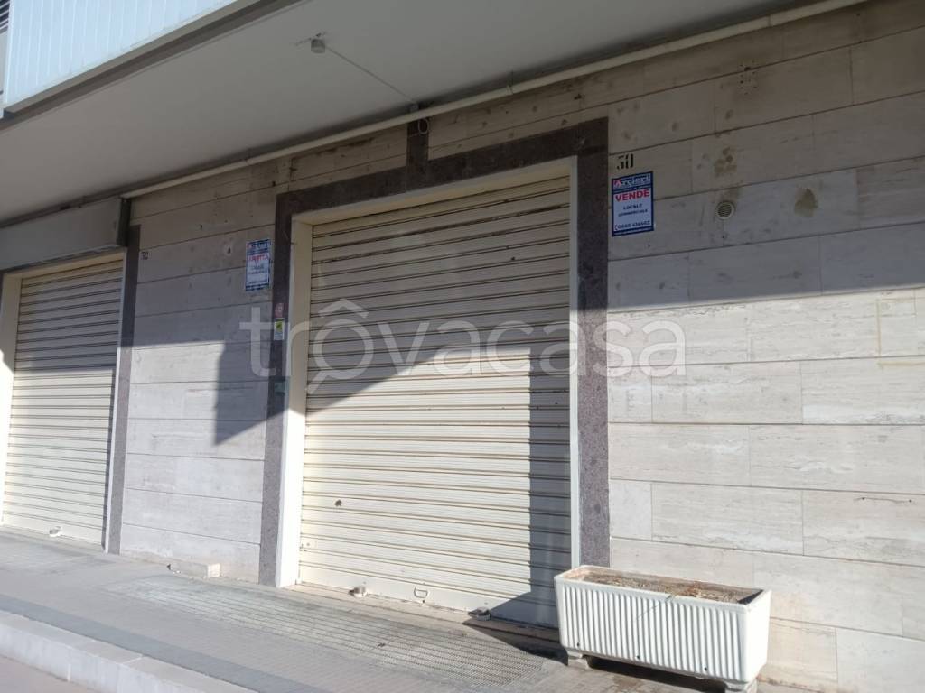 immagine annuncio 2 di 6