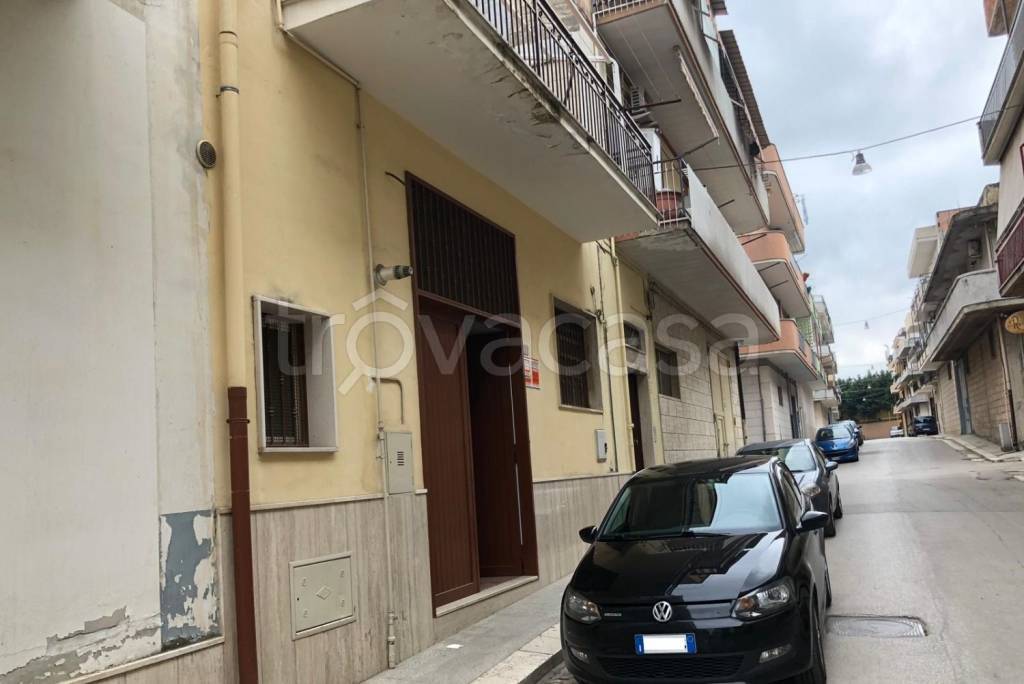 immagine annuncio 1 di 8