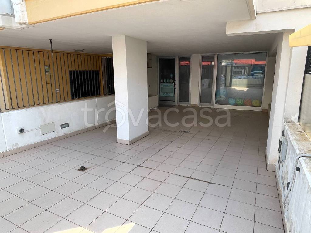 immagine annuncio 2 di 11