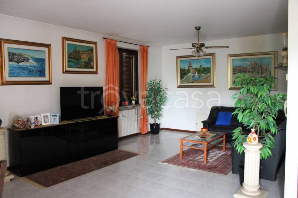 immagine annuncio 10 di 15