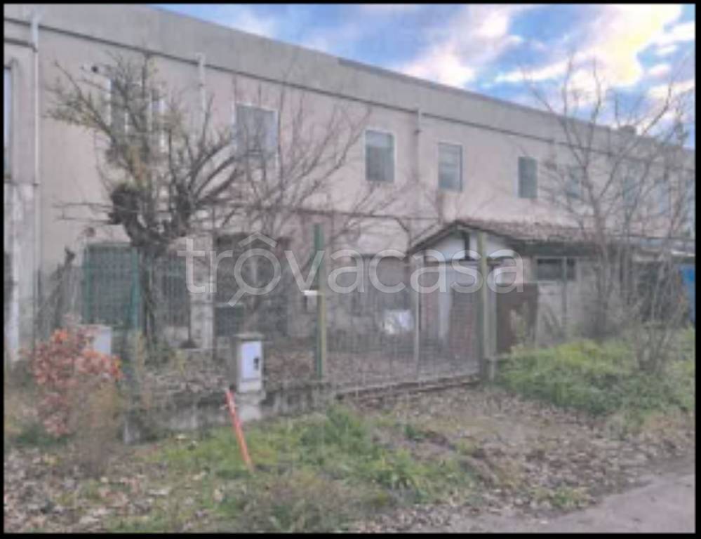 immagine annuncio 1 di 12