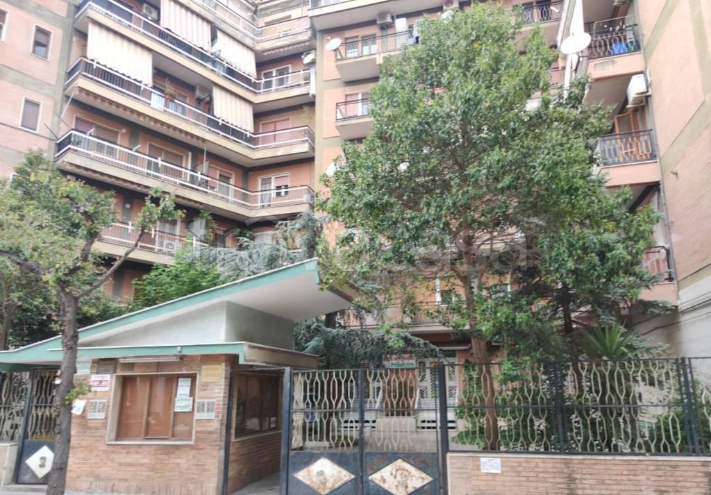 immagine annuncio 13 di 14