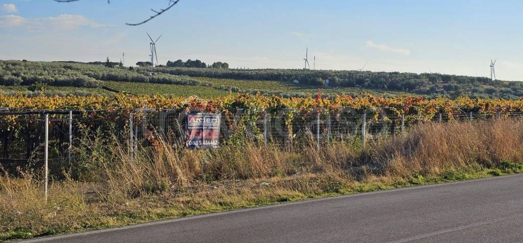 immagine annuncio 5 di 12