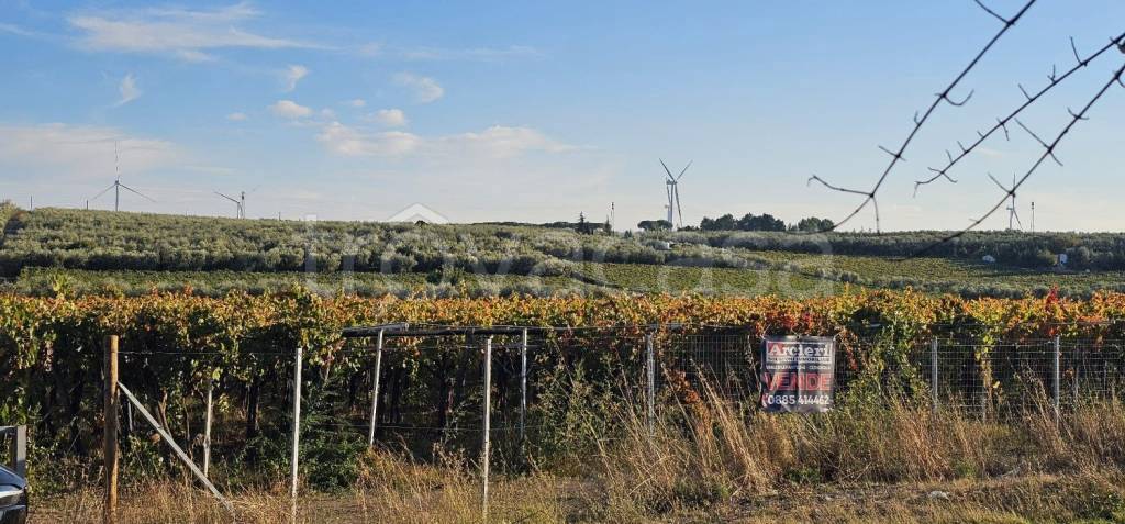 immagine annuncio 8 di 12