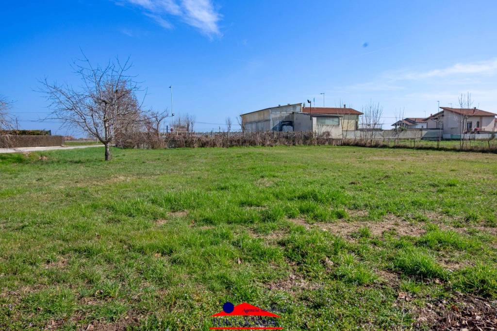 immagine annuncio 3 di 13