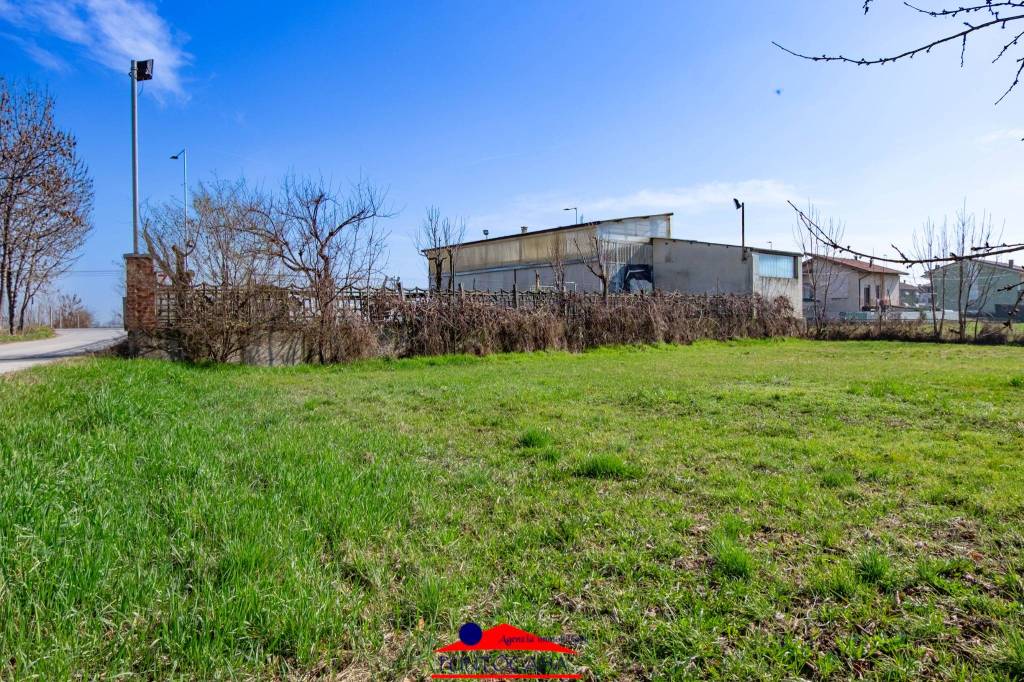 immagine annuncio 4 di 13