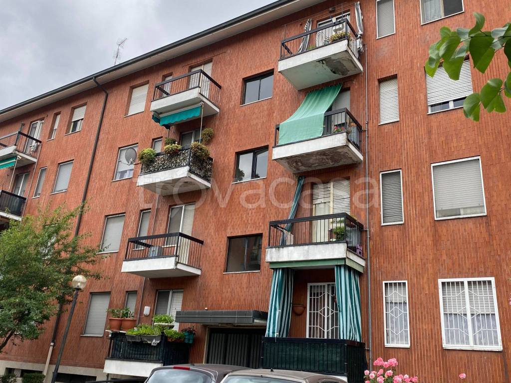 immagine annuncio 13 di 14