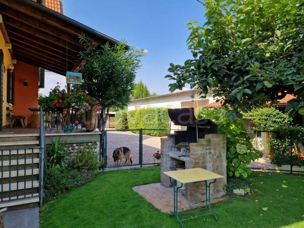 immagine annuncio 9 di 15