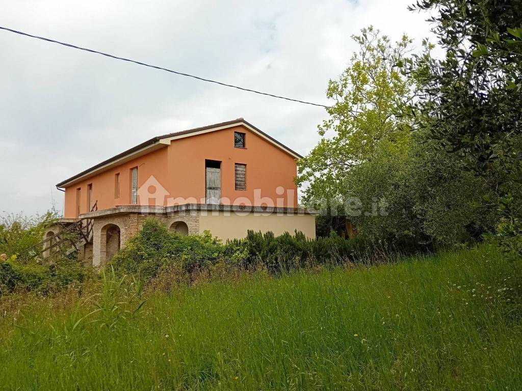 immagine annuncio 2 di 12