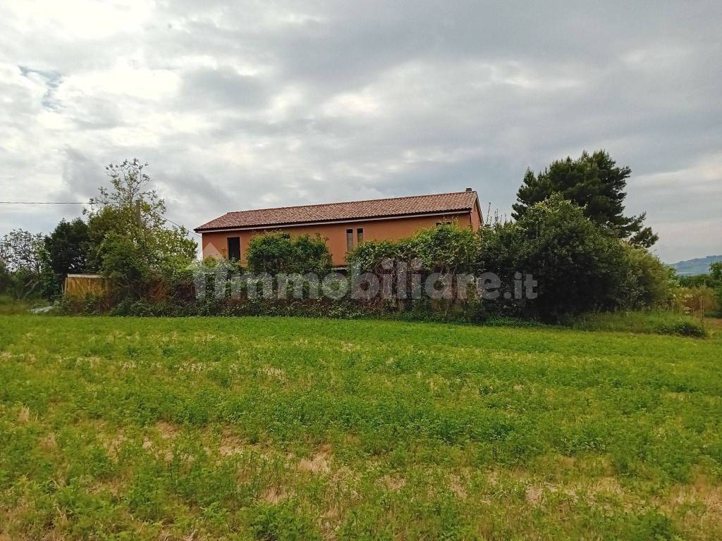 immagine annuncio 3 di 12