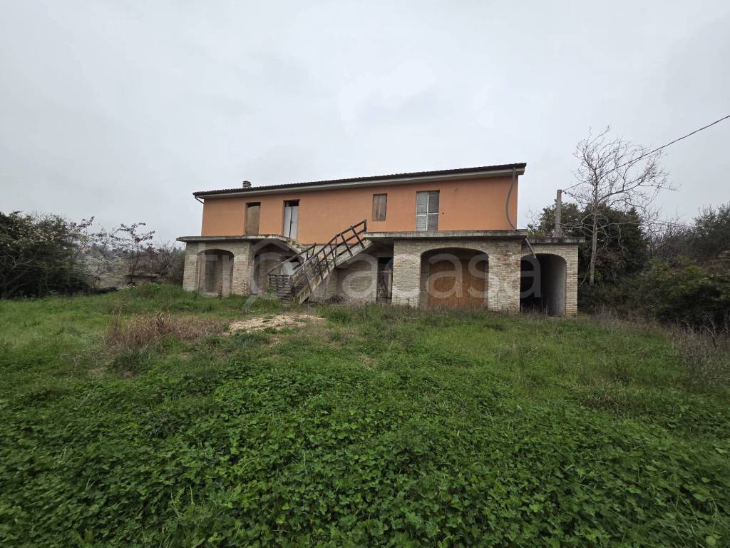 immagine annuncio 5 di 12