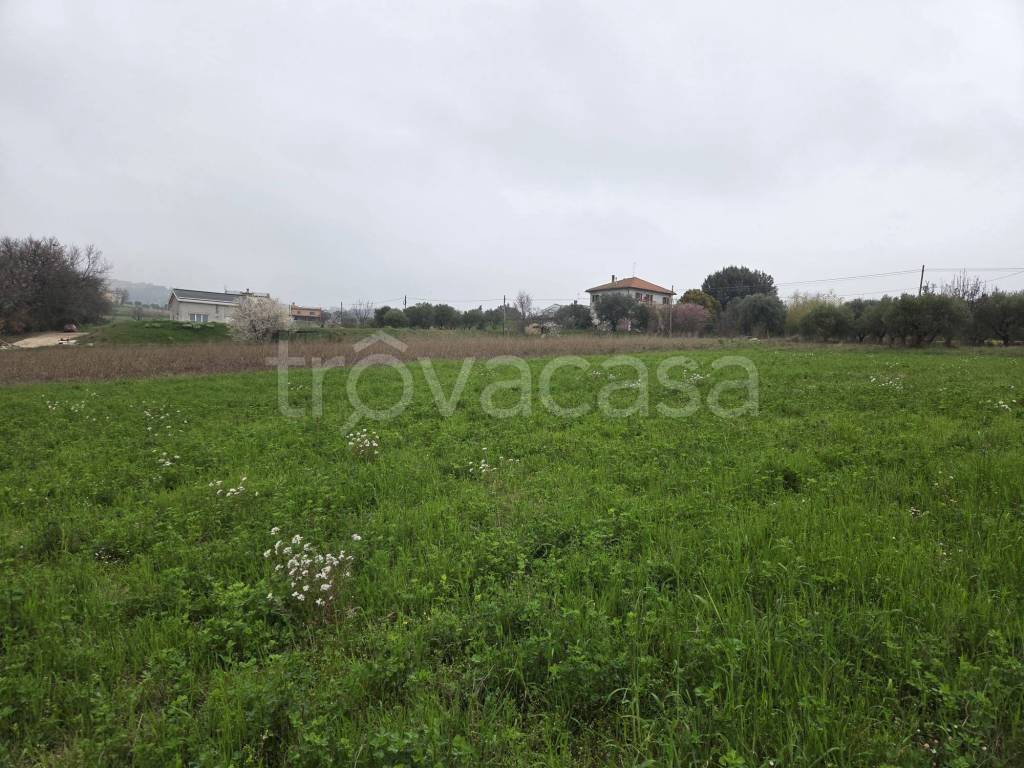 immagine annuncio 8 di 12