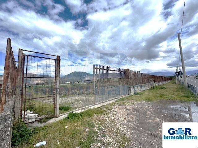 immagine annuncio 11 di 14