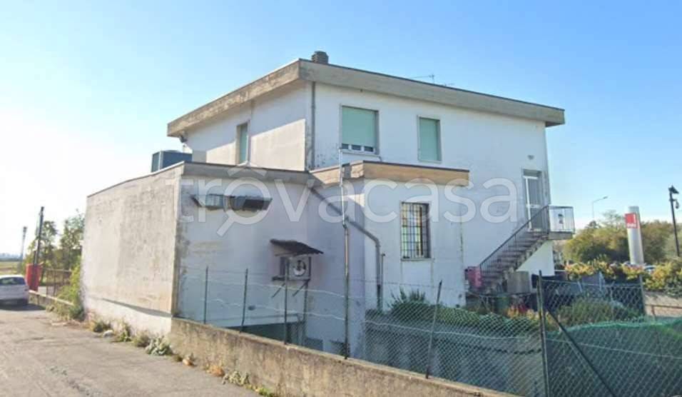 immagine annuncio 4 di 8