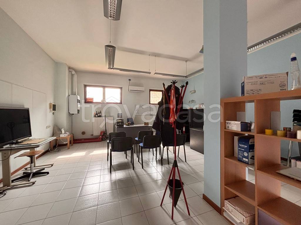 immagine annuncio 3 di 11