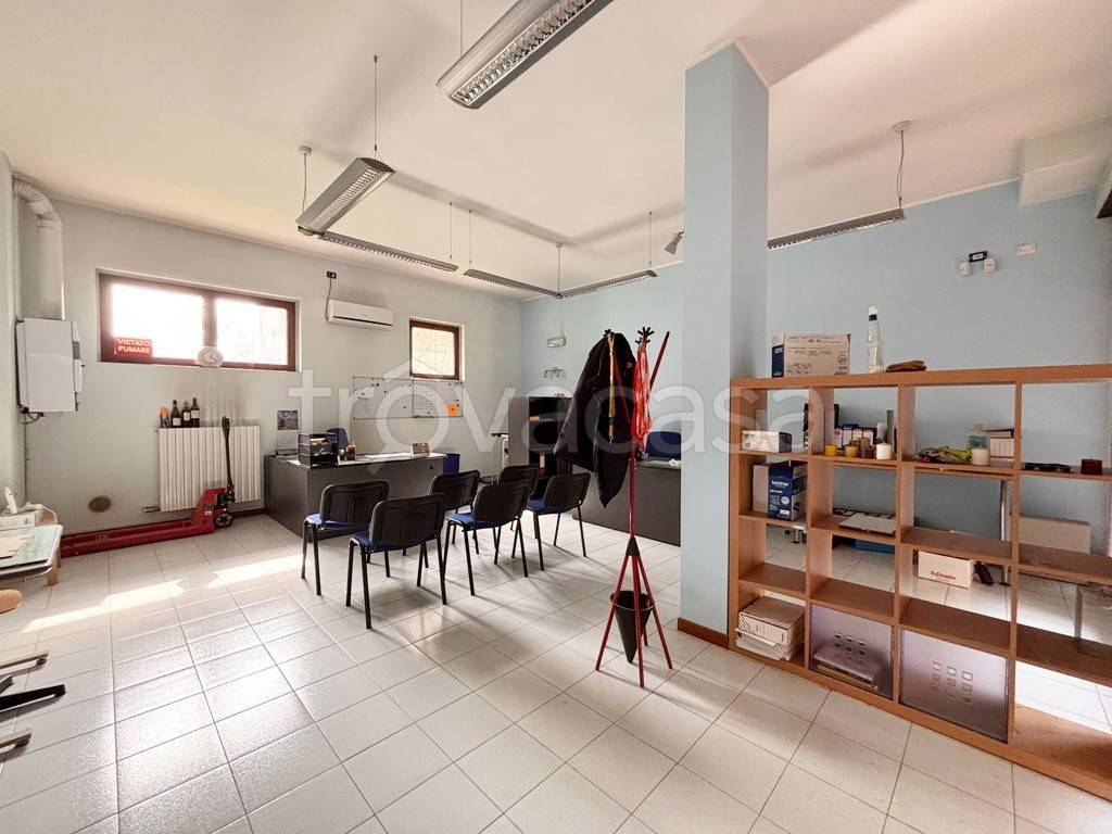 immagine annuncio 7 di 11