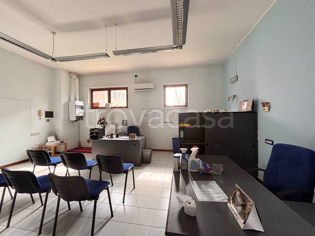 immagine annuncio 9 di 11