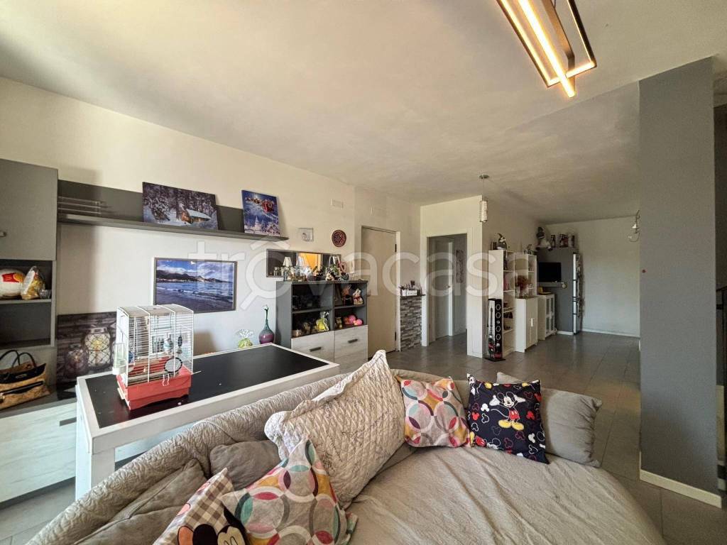 immagine annuncio 6 di 15