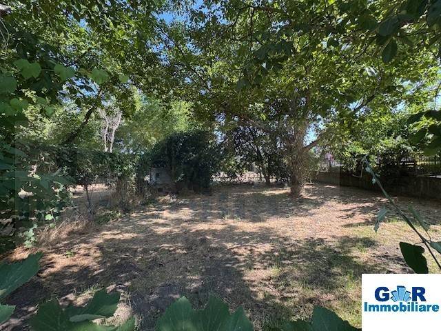 immagine annuncio 3 di 7