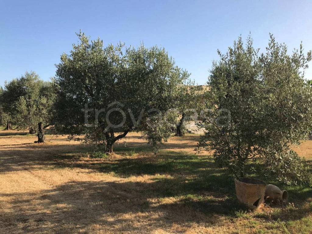 immagine annuncio 7 di 13