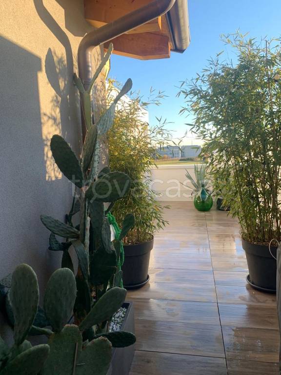 immagine annuncio 7 di 13