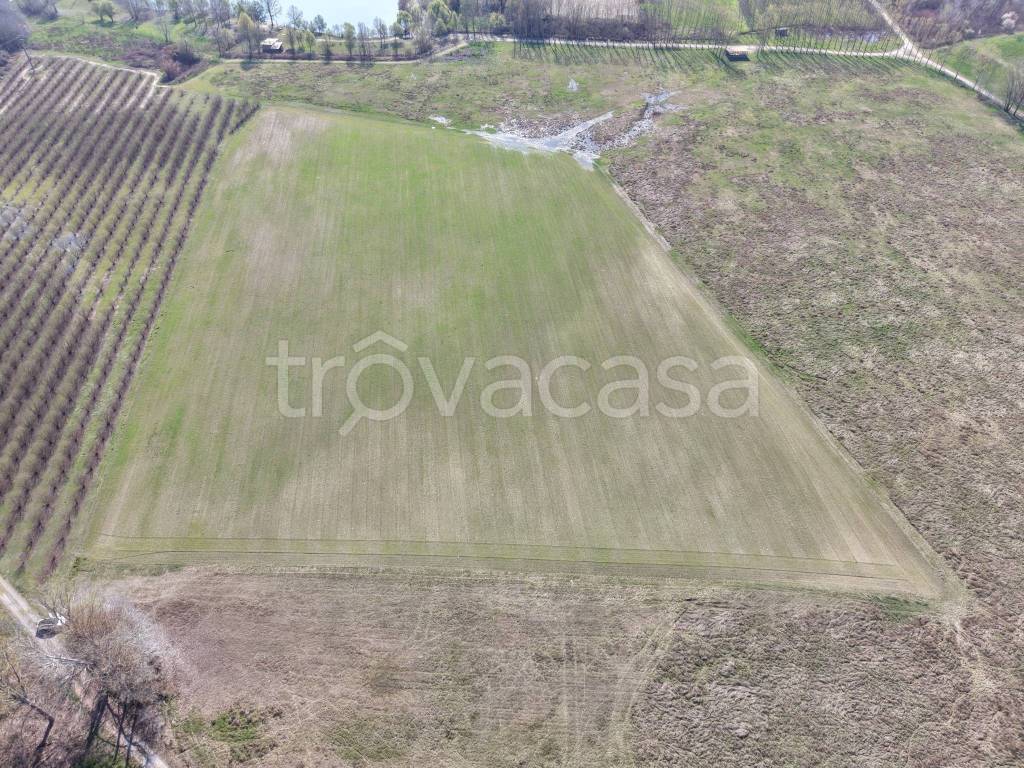 immagine annuncio 8 di 12