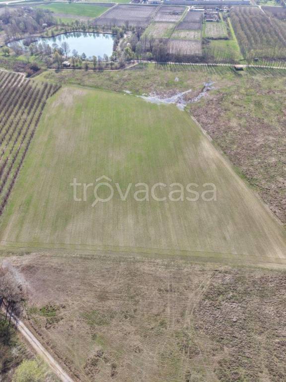 immagine annuncio 9 di 12