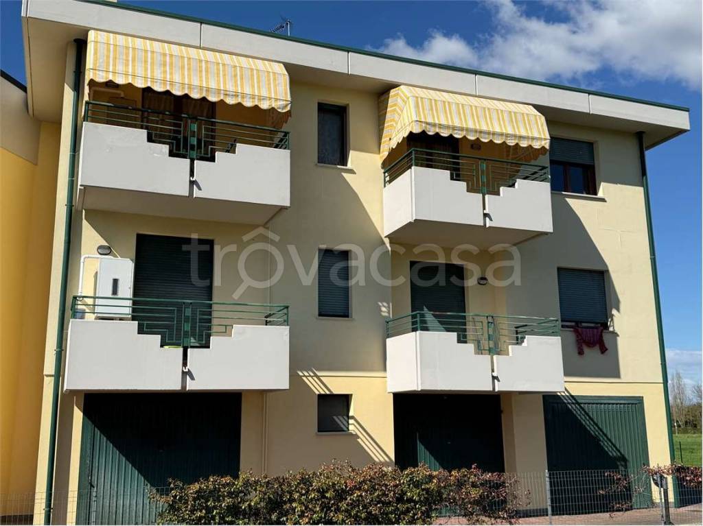 immagine annuncio 11 di 12