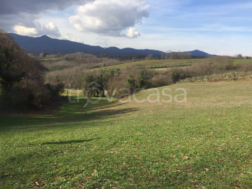 immagine annuncio 4 di 7