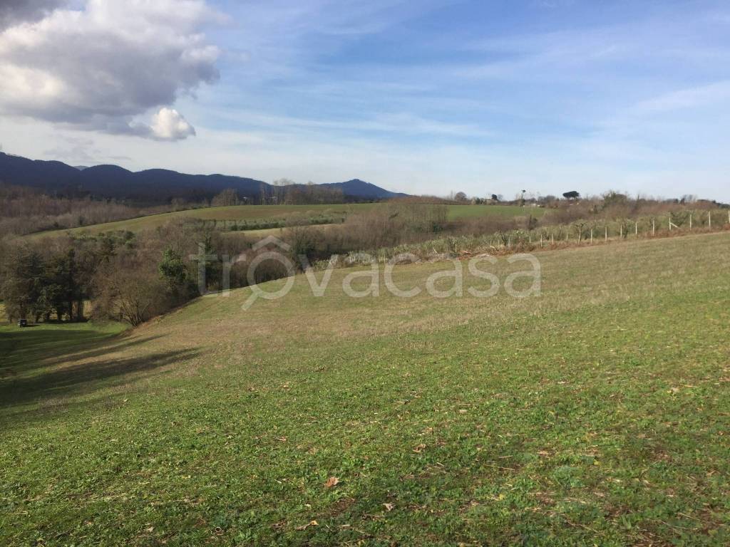 immagine annuncio 6 di 7