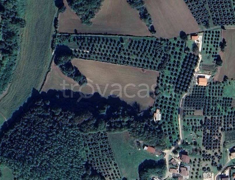 immagine annuncio 5 di 7